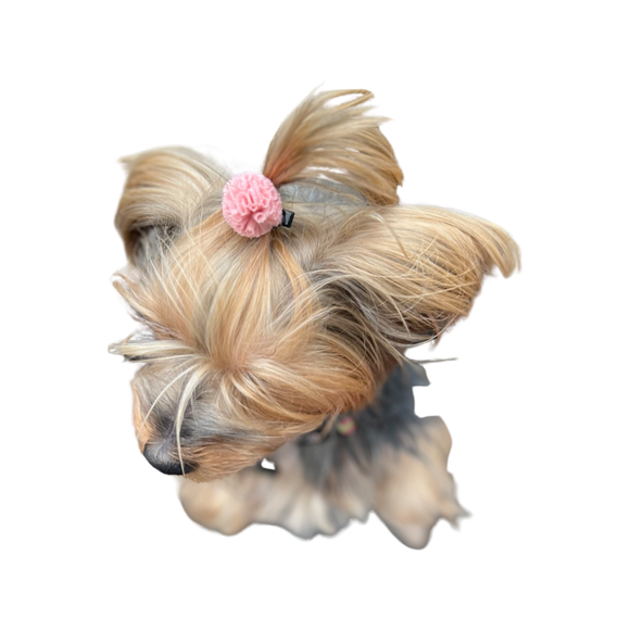 MINI PAWS TULLE POMPOM CLIPS